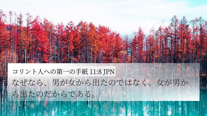 コリント人への第一の手紙 11:8 JPN 4K Wallpaper - なぜなら、男が女から出たのではな - 4K Wallpaper Bible Verse