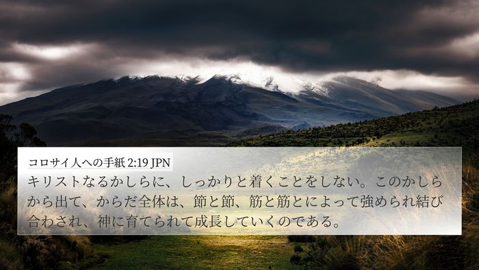 コロサイ人への手紙 2:19 JPN Bible Verse Image