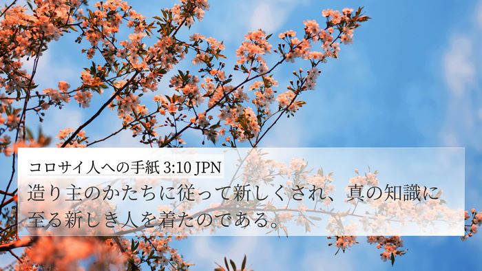 コロサイ人への手紙 3:10 JPN Bible Verse Image
