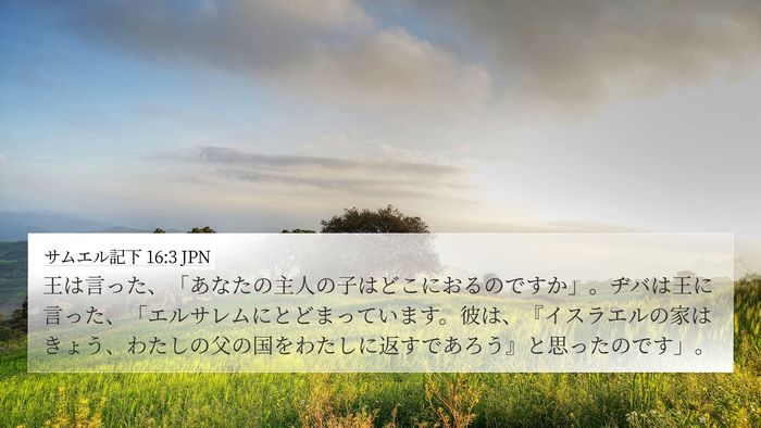 サムエル記下 16:3 JPN 4K Wallpaper - 王は言った、「あなたの主人の子は - 4K Wallpaper Bible Verse