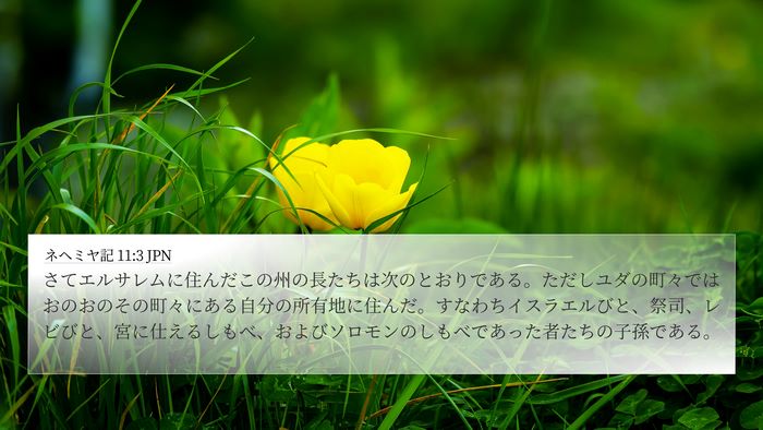 ネヘミヤ記 11:3 JPN 4K Wallpaper - さてエルサレムに住んだこの州の長 - 4K Wallpaper Bible Verse