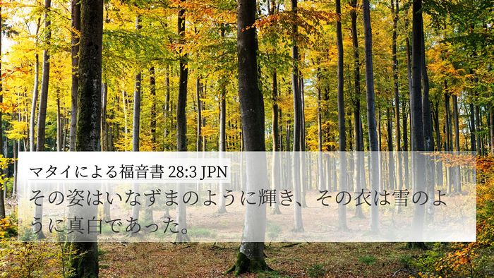 マタイによる福音書 28:3 JPN Bible Verse Image