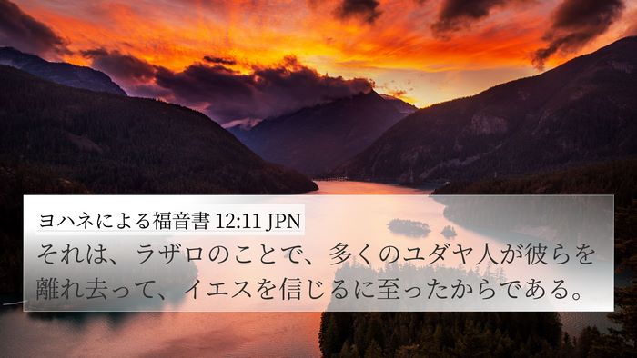 ヨハネによる福音書 12:11 JPN Bible Verse Image