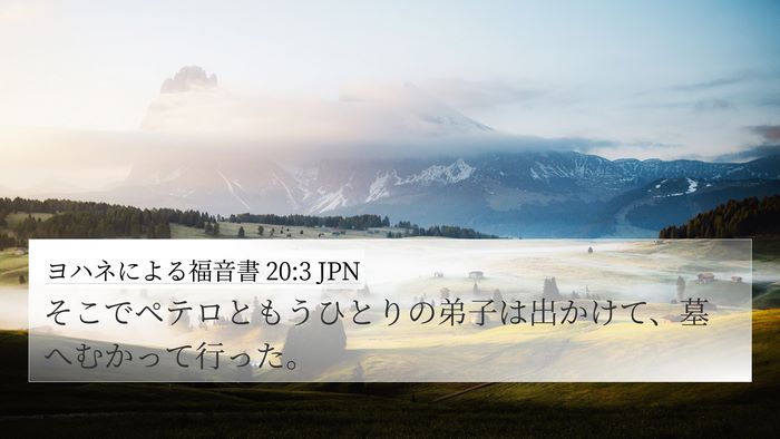 ヨハネによる福音書 20:3 JPN Bible Verse Image