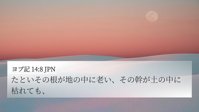 ヨブ記 14:8 JPN 4K Wallpaper - たといその根が地の中に老い、その - 4K Wallpaper Bible Verse