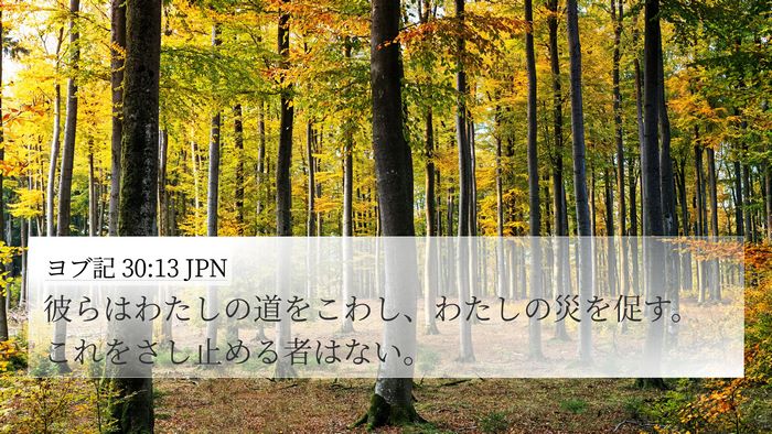 ヨブ記 30:13 JPN 4K Wallpaper - 彼らはわたしの道をこわし、わたし - 4K Wallpaper Bible Verse