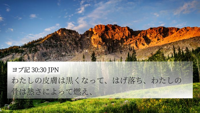 ヨブ記 30:30 JPN Bible Verse Image