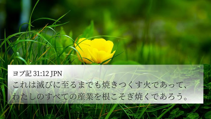 ヨブ記 31:12 JPN 4K Wallpaper - これは滅びに至るまでも焼きつくす - 4K Wallpaper Bible Verse
