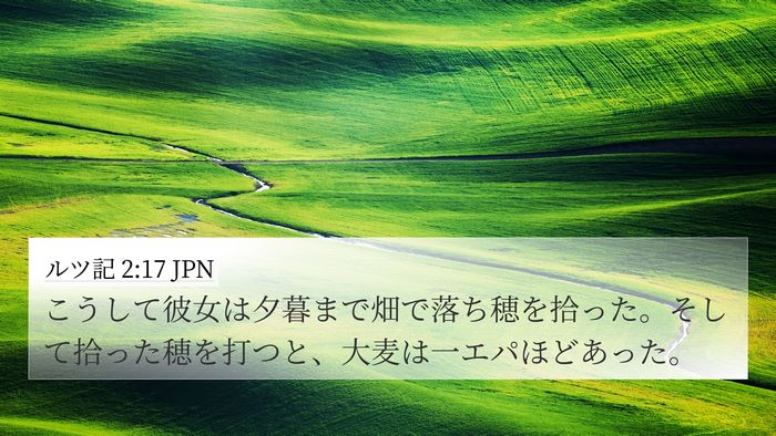 ルツ記 2:17 JPN 4K Wallpaper - こうして彼女は夕暮まで畑で落ち穂 - 4K Wallpaper Bible Verse