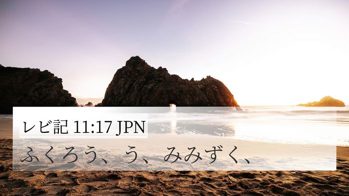 レビ記 11:17 JPN 4K Wallpaper - ふくろう、う、みみずく、 - 4K Wallpaper Bible Verse