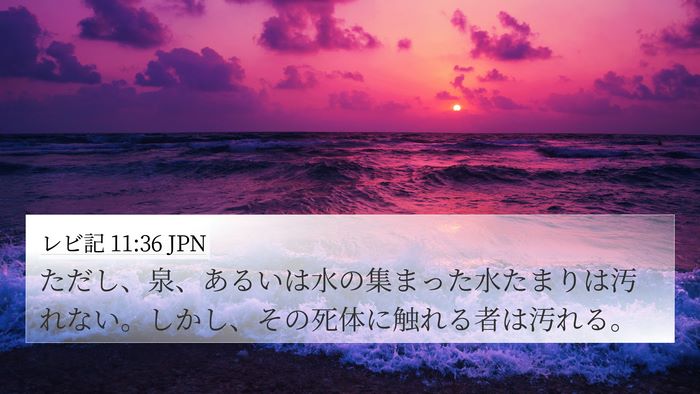 レビ記 11:36 JPN 4K Wallpaper - ただし、泉、あるいは水の集まった - 4K Wallpaper Bible Verse