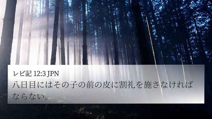 レビ記 12:3 JPN Bible Verse Image