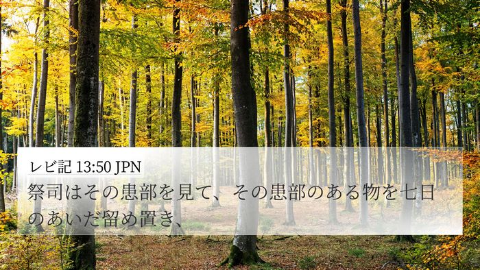 レビ記 13:50 JPN 4K Wallpaper - 祭司はその患部を見て、その患部の - 4K Wallpaper Bible Verse