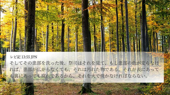 レビ記 13:55 JPN 4K Wallpaper - そしてその患部を洗った後、祭司は - 4K Wallpaper Bible Verse