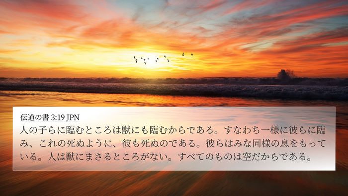 伝道の書 3:19 JPN Bible Verse Image