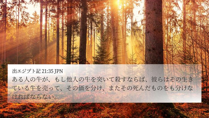 出エジプト記 21:35 JPN 4K Wallpaper - ある人の牛が、もし他人の牛を突い - 4K Wallpaper Bible Verse