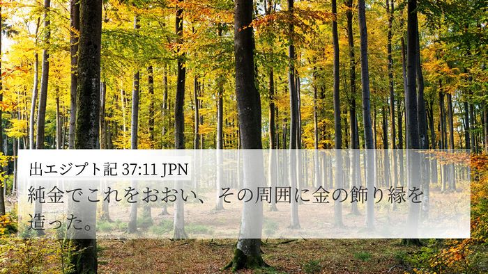 出エジプト記 37:11 JPN 4K Wallpaper - 純金でこれをおおい、その周囲に金 - 4K Wallpaper Bible Verse