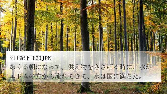 列王紀下 3:20 JPN 4K Wallpaper - あくる朝になって、供え物をささげ - 4K Wallpaper Bible Verse
