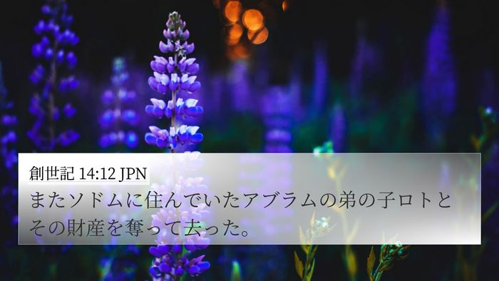 創世記 14:12 JPN Bible Verse Image