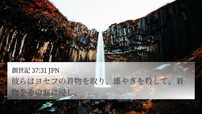 創世記 37:31 JPN 4K Wallpaper - 彼らはヨセフの着物を取り、雄やぎ - 4K Wallpaper Bible Verse