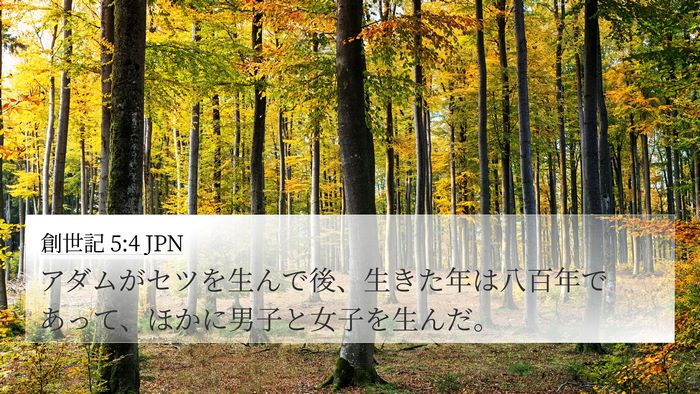 創世記 5:4 JPN 4K Wallpaper - アダムがセツを生んで後、生きた年 - 4K Wallpaper Bible Verse