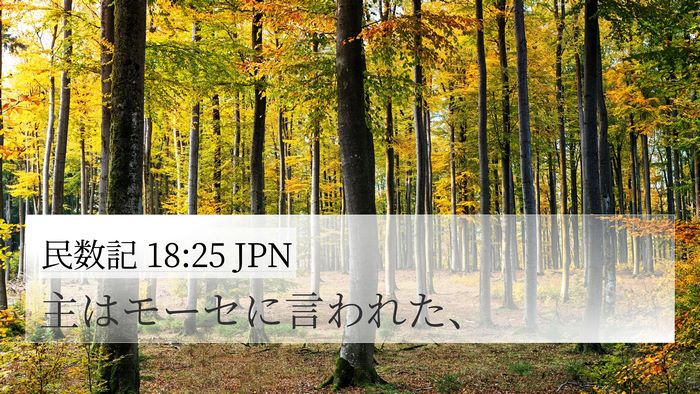 民数記 18:25 JPN 4K Wallpaper - 主はモーセに言われた、 - 4K Wallpaper Bible Verse