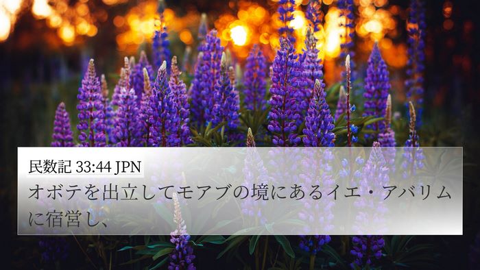 民数記 33:44 JPN 4K Wallpaper - オボテを出立してモアブの境にある - 4K Wallpaper Bible Verse