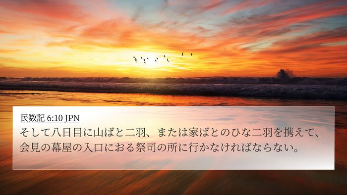 民数記 6:10 JPN Bible Verse Image