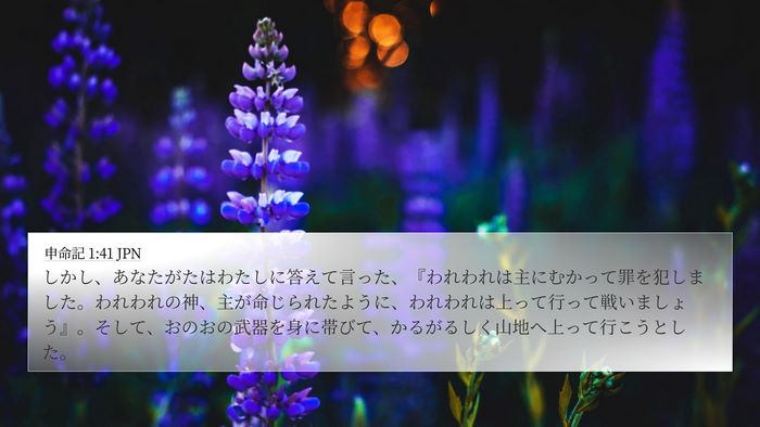 申命記 1:41 JPN Bible Verse Image