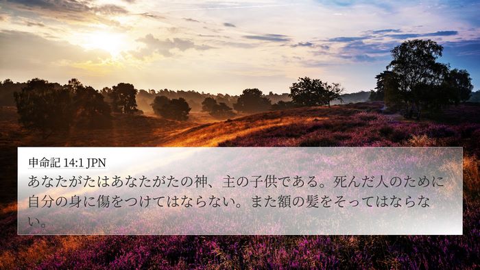 申命記 14:1 JPN Bible Verse Image