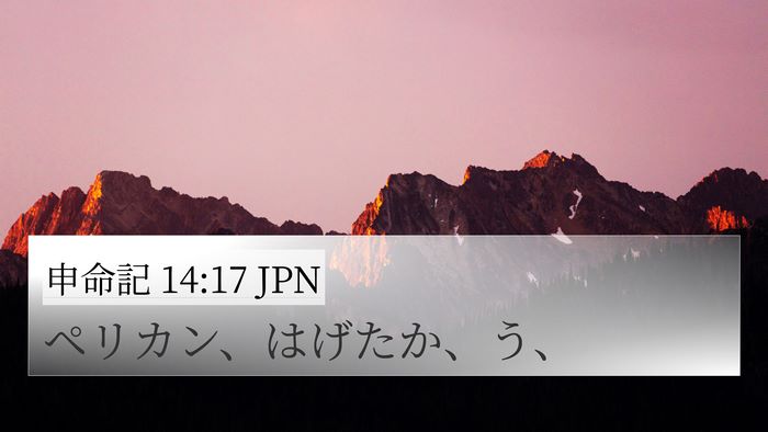 申命記 14:17 JPN 4K Wallpaper - ペリカン、はげたか、う、 - 4K Wallpaper Bible Verse