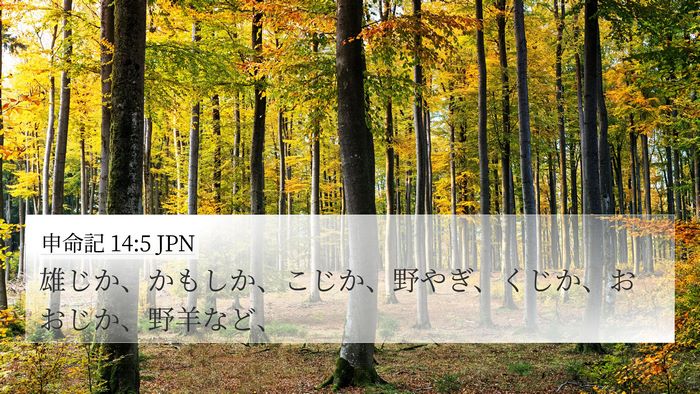 申命記 14:5 JPN 4K Wallpaper - 雄じか、かもしか、こじか、野やぎ - 4K Wallpaper Bible Verse