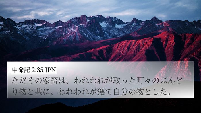 申命記 2:35 JPN 4K Wallpaper - ただその家畜は、われわれが取った - 4K Wallpaper Bible Verse