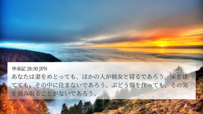 申命記 28:30 JPN Bible Verse Image