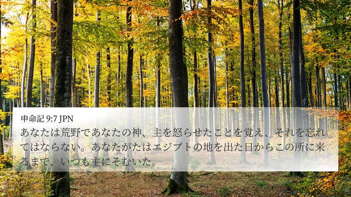 申命記 9:7 JPN 4K Wallpaper - あなたは荒野であなたの神、主を怒 - 4K Wallpaper Bible Verse
