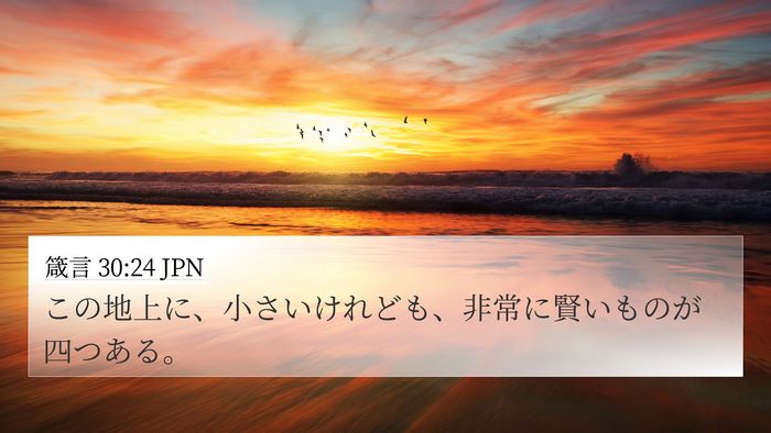 箴言 30:24 JPN 4K Wallpaper - この地上に、小さいけれども、非常 - 4K Wallpaper Bible Verse