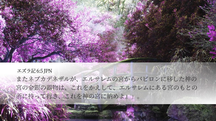 エズラ記 6:5 JPN Bible Verse Image