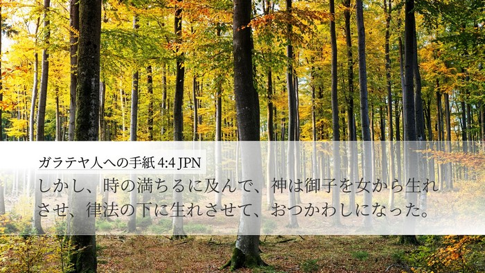 ガラテヤ人への手紙 4:4 JPN Bible Verse Image