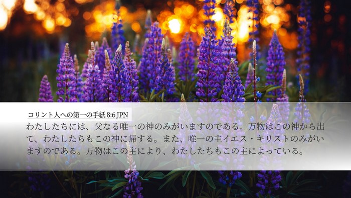 コリント人への第一の手紙 8:6 JPN Bible Verse Image