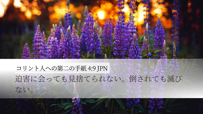 コリント人への第二の手紙 4:9 JPN Bible Verse Image