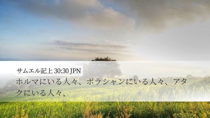 サムエル記上 30:30 JPN Desktop Wallpaper - ホルマにいる人々、ボラシャンにい - Desktop Bible Verse Wallpaper