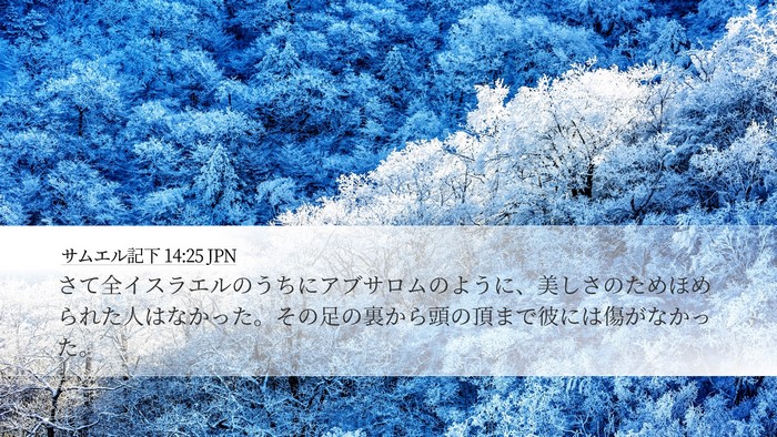 サムエル記下 14:25 JPN Bible Verse Image