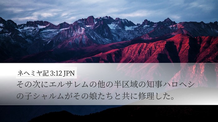 ネヘミヤ記 3:12 JPN Bible Verse Image
