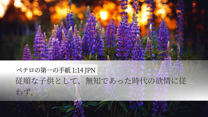 ペテロの第一の手紙 1:14 JPN Desktop Wallpaper - 従順な子供として、無知であった時 - Desktop Bible Verse Wallpaper