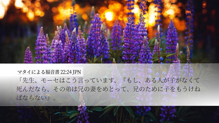 マタイによる福音書 22:24 JPN Bible Verse Image