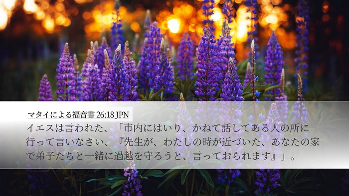 マタイによる福音書 26:18 JPN Bible Verse Image