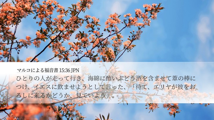 マルコによる福音書 15:36 JPN Desktop Wallpaper - ひとりの人が走って行き、海綿に酢 - Desktop Bible Verse Wallpaper