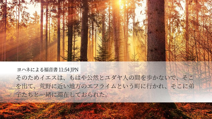 ヨハネによる福音書 11:54 JPN Bible Verse Image