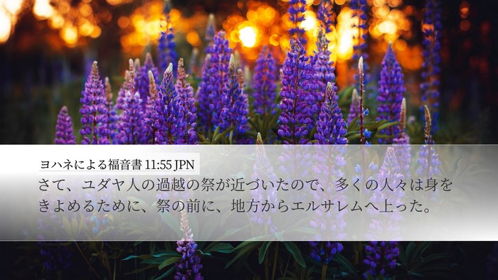 ヨハネによる福音書 11:55 JPN Bible Verse Image
