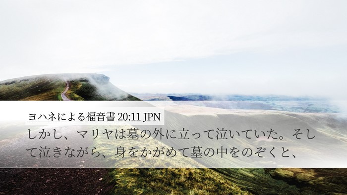 ヨハネによる福音書 20:11 JPN Bible Verse Image